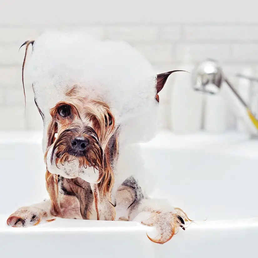 18fe2265 3ff8 4c94 beca 8733f012d62b original