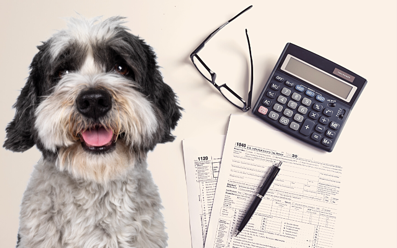 62fe15343ac0c614571572